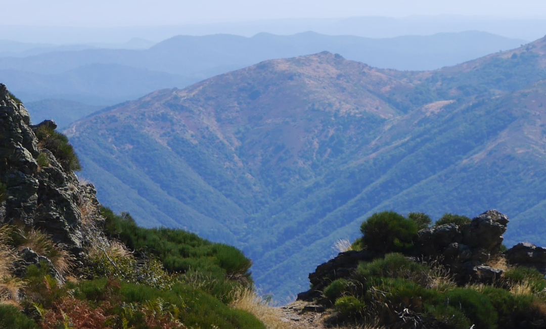 Séjour déconnexion 1,2,3 août en Cévennes