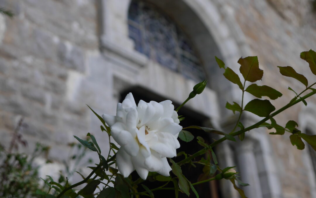 Marcher, Chanter de la sainte Baume à la Source des Anges 1 dim/mois