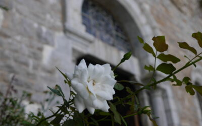 Marcher, Chanter de la sainte Baume à la Source des Anges 1 dim/mois