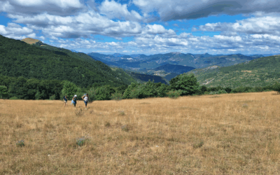 Récolter et remercier la beauté du Vivant > rentrée sept 2025