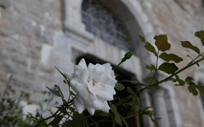 Marcher, Chanter de la sainte Baume à la Source des Anges 1 dim/mois