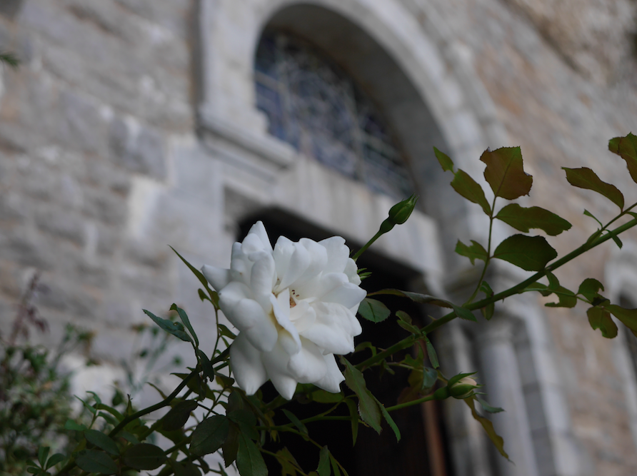 Marcher, Chanter de la sainte Baume à la Source des Anges 1 dim/mois